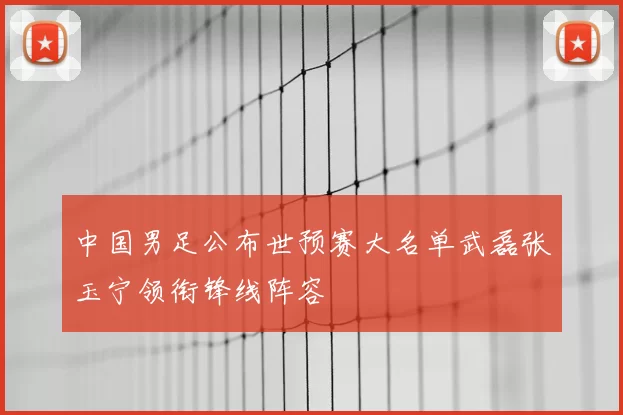 中国男足公布世预赛大名单武磊张玉宁领衔锋线阵容