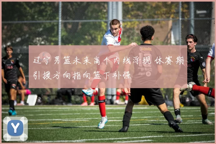 辽宁男篮未来高个内线浮现 休赛期引援方向指向篮下补强