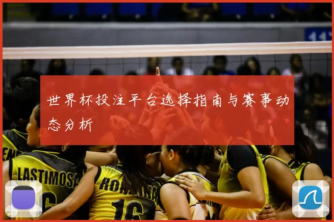 世界杯投注平台选择指南与赛事动态分析