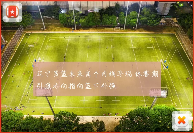 辽宁男篮未来高个内线浮现 休赛期引援方向指向篮下补强