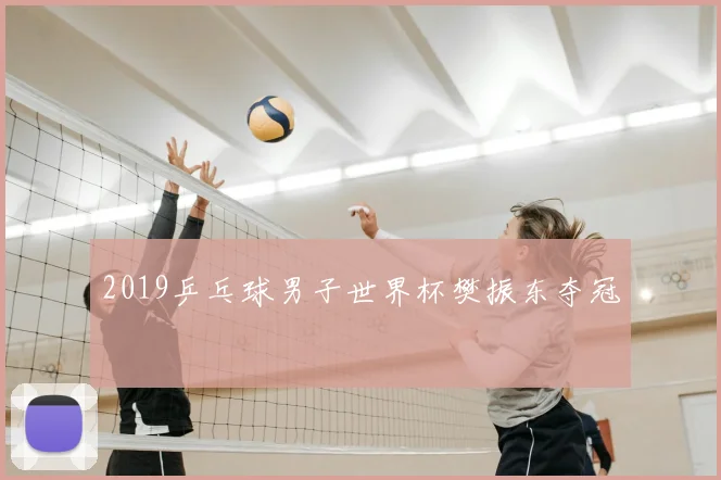 2019乒乓球男子世界杯樊振东夺冠