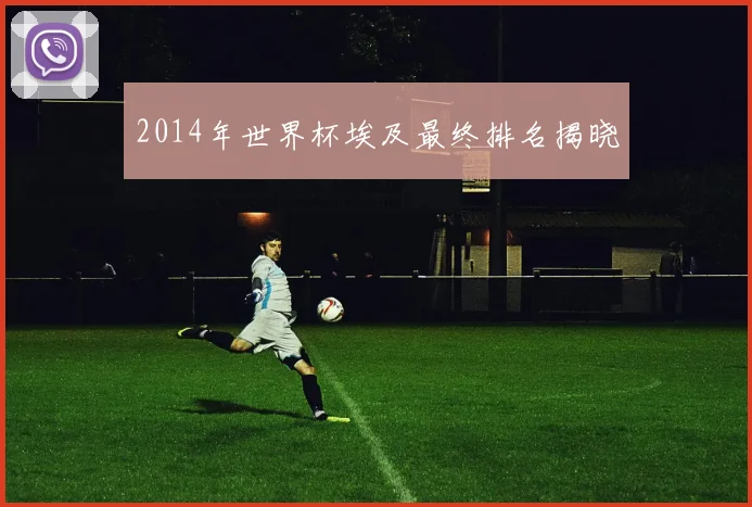 2014年世界杯埃及最终排名揭晓